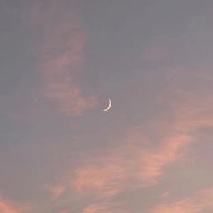 公车挺进尤物少妇翘臀动态图
